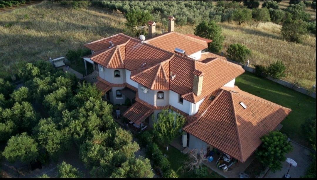 Alice Wonderland Home Nea Flogita Halkidiki Eksteriør billede