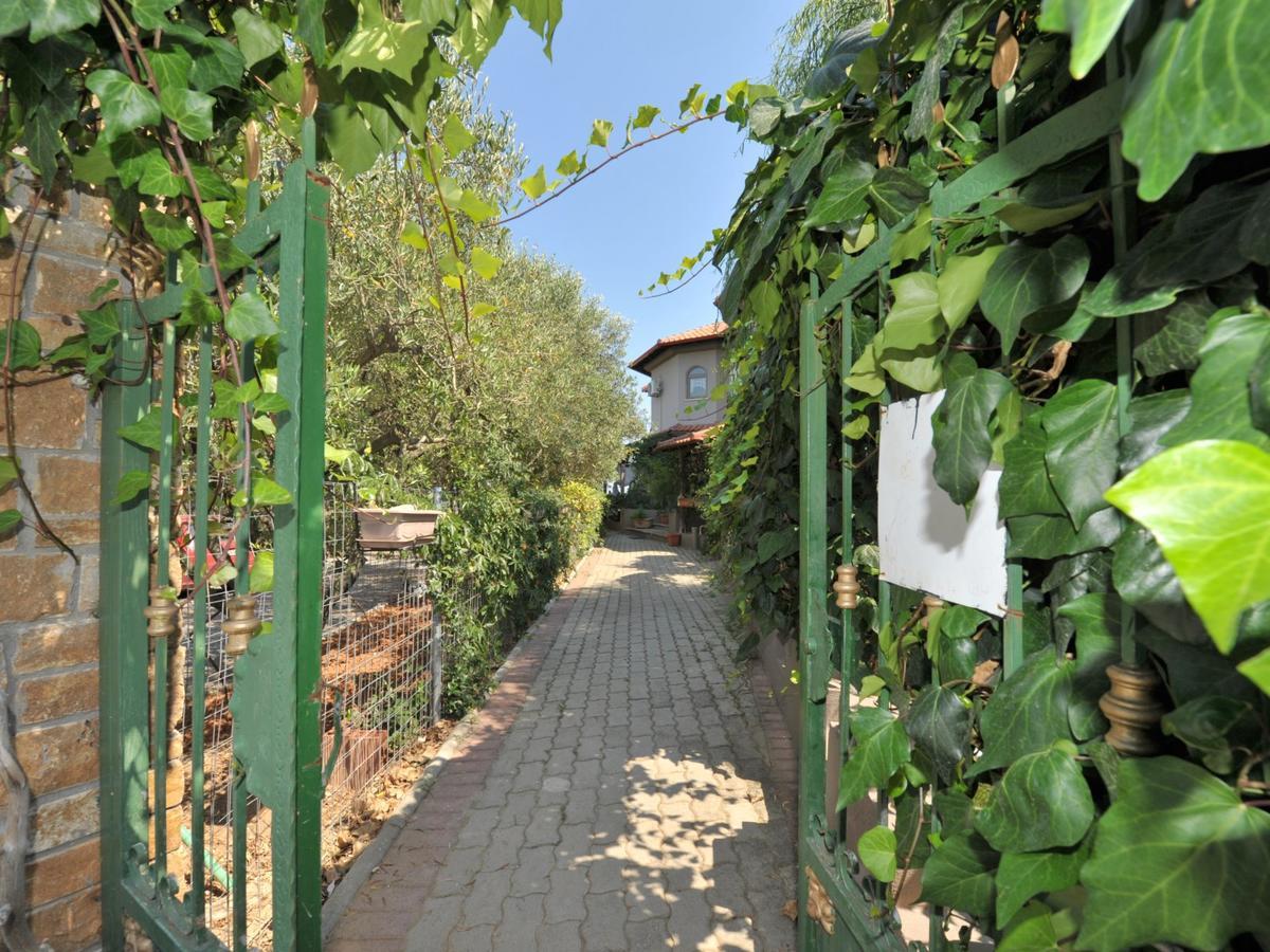 Alice Wonderland Home Nea Flogita Halkidiki Eksteriør billede